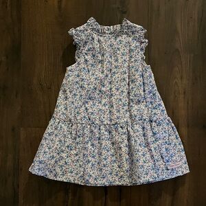 Ruffle Butts Blue Floral Kids Dress